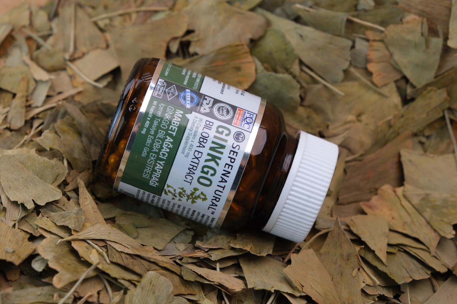 Ginkgo Biloba