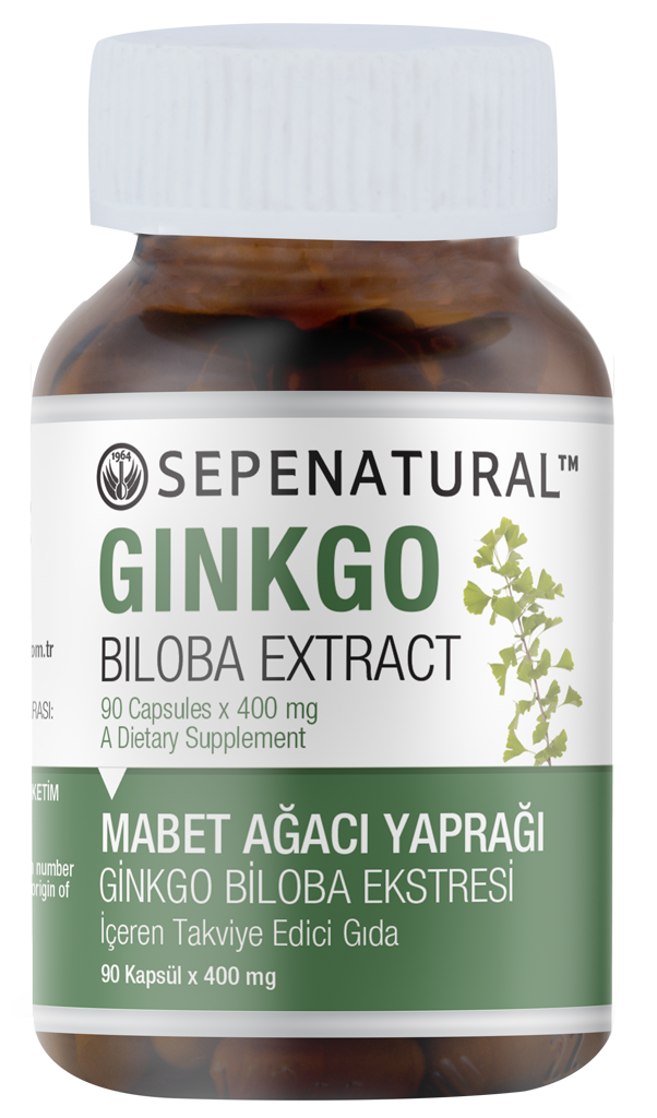 Ginkgo Biloba Extract 90 Kapsül Ginko Ekstrakt Ekstresi