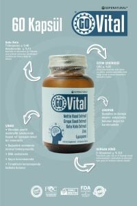 GOVital Gotu Kola Üzüm Çekirdeği Isırgan Ektreleri Likopen Çinko Kompleks 60 Kapsül x 425 mg SEPE