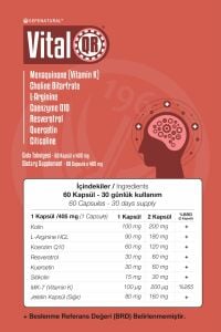 VİTALQR 60 KAPSÜL X 405 MG