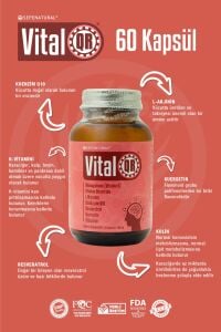 VİTALQR 60 KAPSÜL X 405 MG