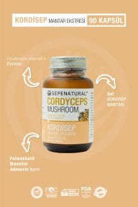 SEPE NATURAL Cordyceps Kordisep Mantar Ekstresi 90 Kapsül x 430 mg