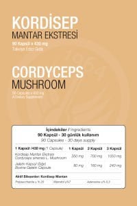 Cordyceps Extract 90 Kapsül 430 mg Kordisep Mantar Ekstresi