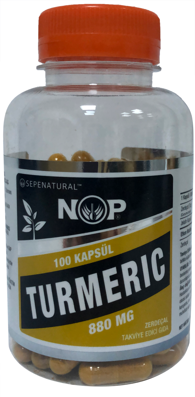 Zerdeçal Kapsül 100 x 880 mg Curcumin Kurkumin Turmeric