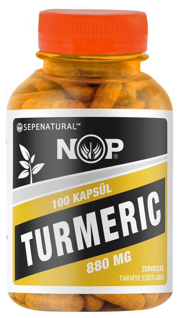 Zerdeçal Kapsül 100 x 880 mg Curcumin Kurkumin Turmeric