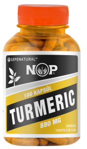 Zerdeçal Kapsül 100 x 880 mg Curcumin Kurkumin Turmeric