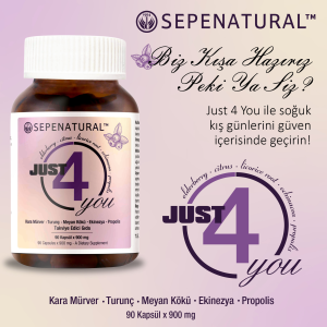 Just 4 You Kara Mürver, Propolis, Turunç, Meyan Kökü, Ekinezya Ekstreleri 90 Kapsül x 900 mg SEPE