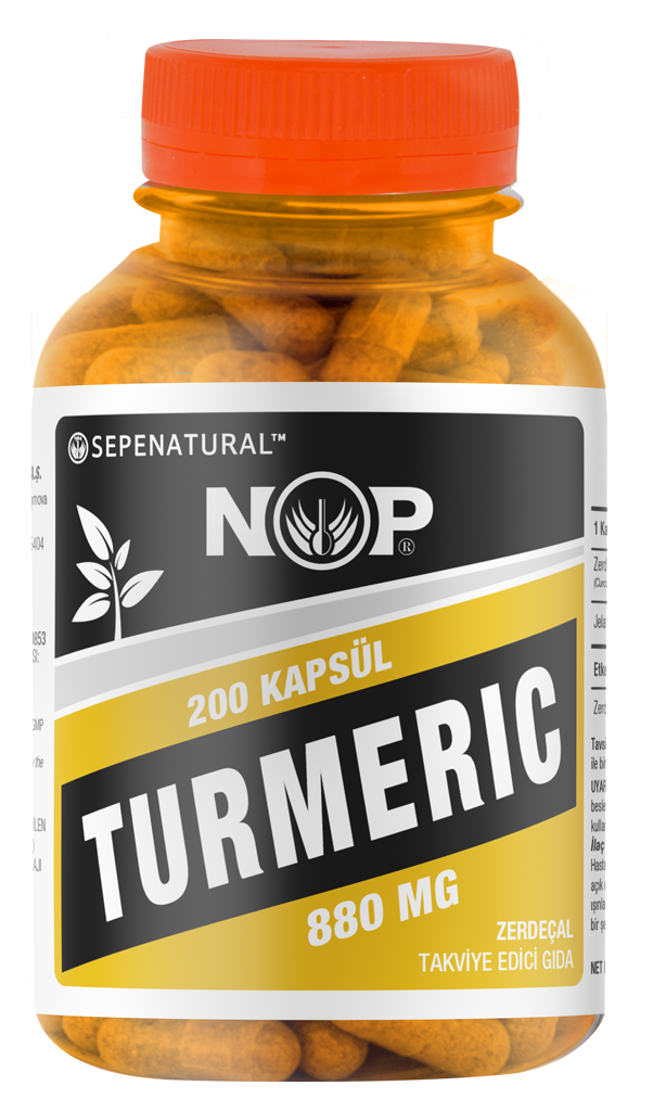 Zerdeçal Kapsül 200 x 880 mg Curcumin Kurkumin Tur