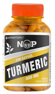 Zerdeçal Kapsül 200 x 880 mg Curcumin Kurkumin Tur