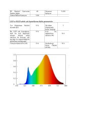 HI-LED NEON LED 8MM 2700K DIŞ MEKAN 24V