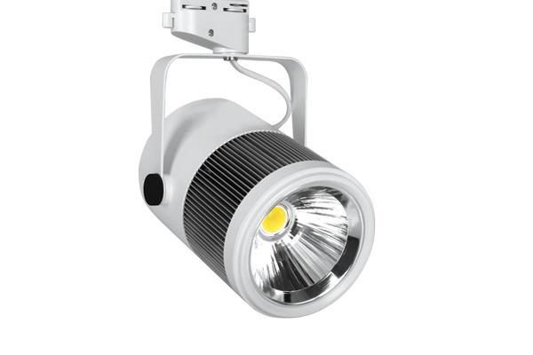 Led Ray Spot Beyaz 30W