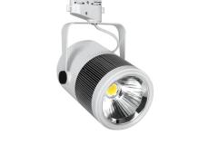 Led Ray Spot Beyaz 30W