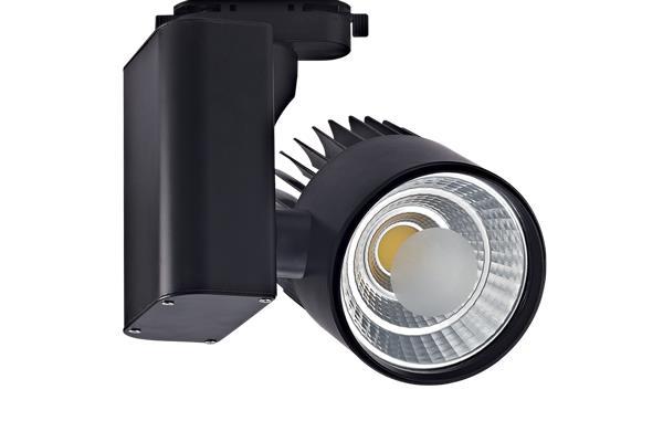 Led Ray Spot Siyah 30W