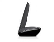 Gigaset C530