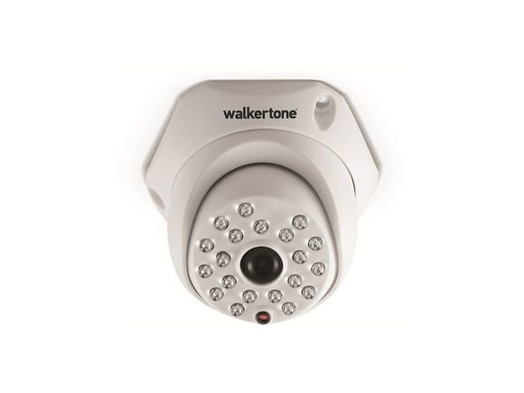 WT-9022 1/3'' Lg Ccd Sesli Dome Kamera