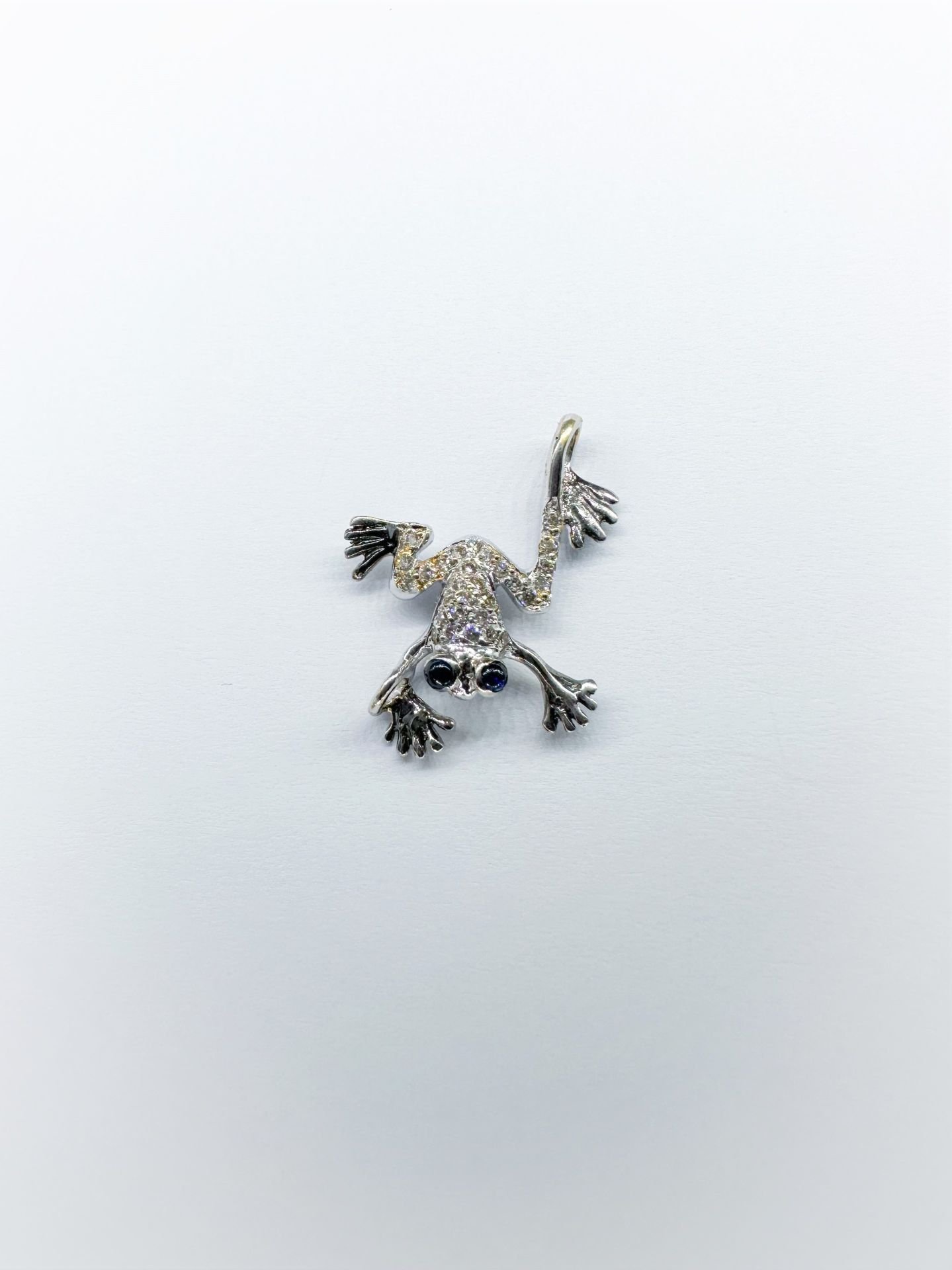 Frog Kolye Ucu