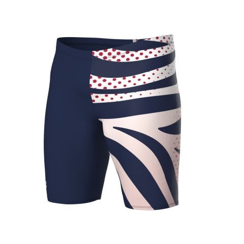 MEN'S ARENA MULTI STRIPES SWIM JAMMER/NAVY-MULTI ERKEK MAYOSU