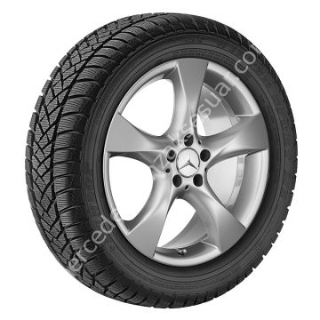 Mercedes Benz JANT 17 ''