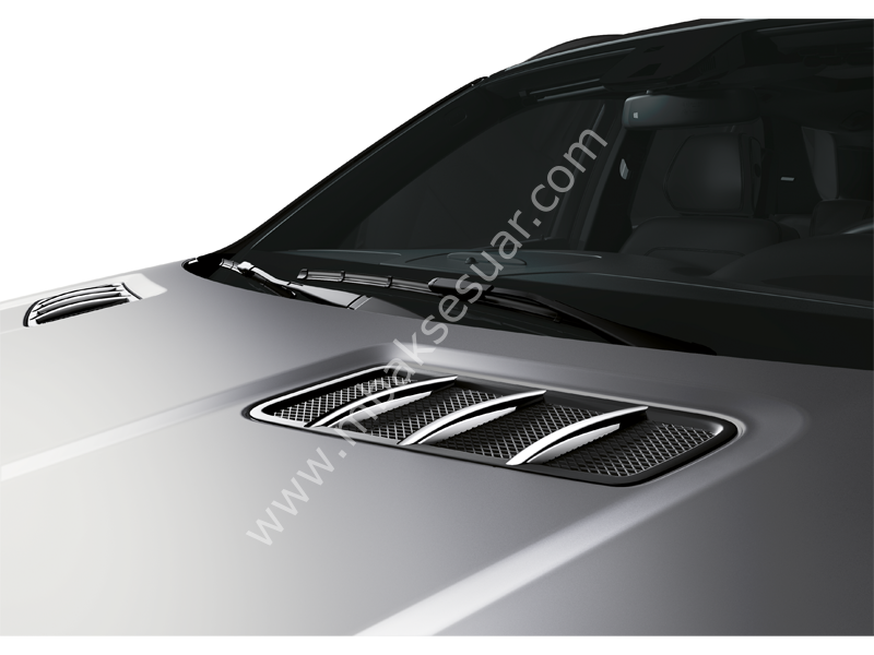 Mercedes Benz Motor Kaput Krom Lip Set