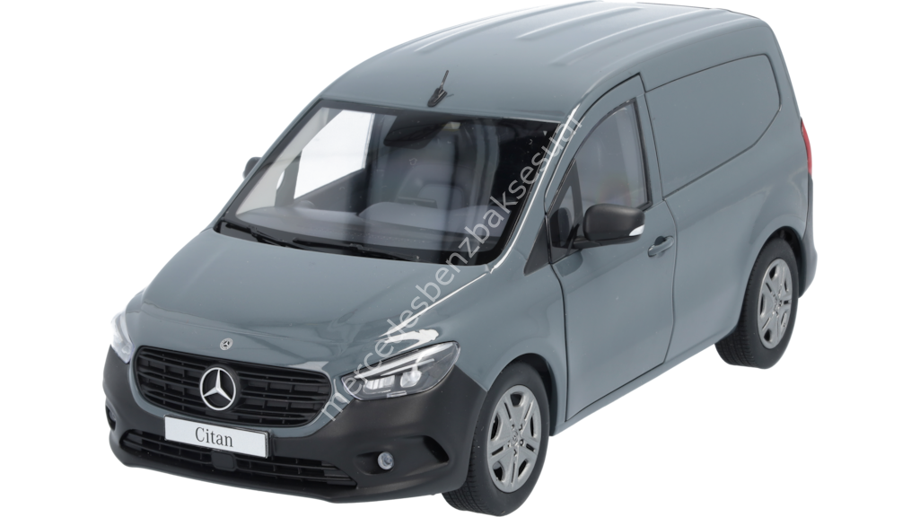 Mercedes Benz Citan, Panelvan araç