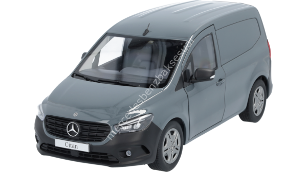 Mercedes Benz Citan, Panelvan araç