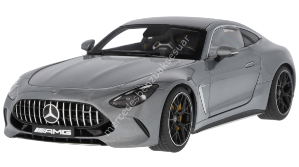 Mercedes Benz Mercedes-AMG GT 63, C192
