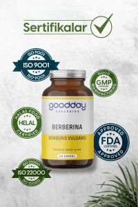 GOODDAY BERBERİNA KAPSÜL 60 KAPSÜL