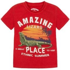 AMAZING T-SHIRT
