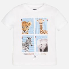 KISA KOLLU T- SHIRT