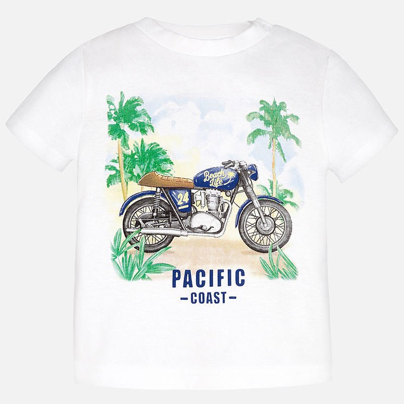KISA KOLLU T- SHIRT
