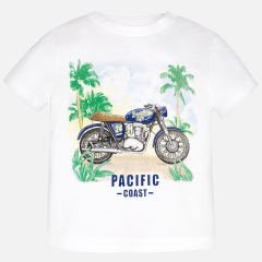 KISA KOLLU T- SHIRT