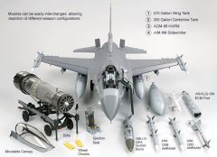 F16CJ Fighting Falcon