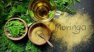 Moringa nedir? (Moringa çayının faydaları ve zararları nelerdir?