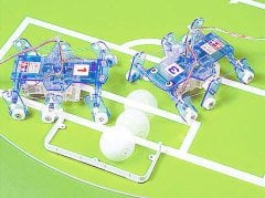 Remote Control Insect (2ch R/C)