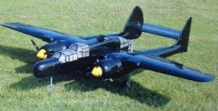 P-61 Black ARTF