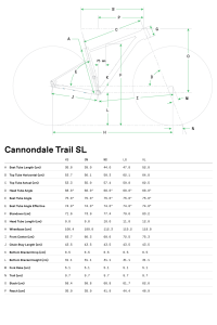 Cannondale Trail SL 4 29 Jant Dağ Bisikleti - Grey