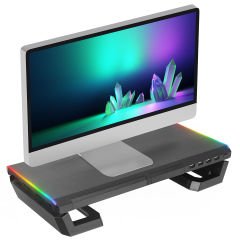 Everest ST1 4 USB Hub RGB Işıklı Katlanabilir Yükseklik Ayarlı Siyah Monitör Standı