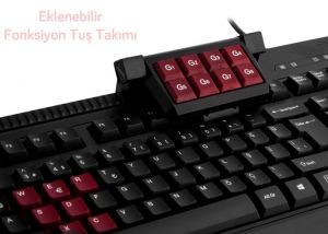 Everest DLK-5115 Siyah USB Makrolu Gaming Q Multimedia Klavye