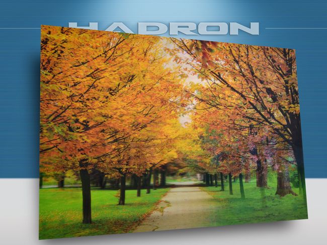 HADRON NOTEBOOK SKIN HD2012 (3D 15.6)/500