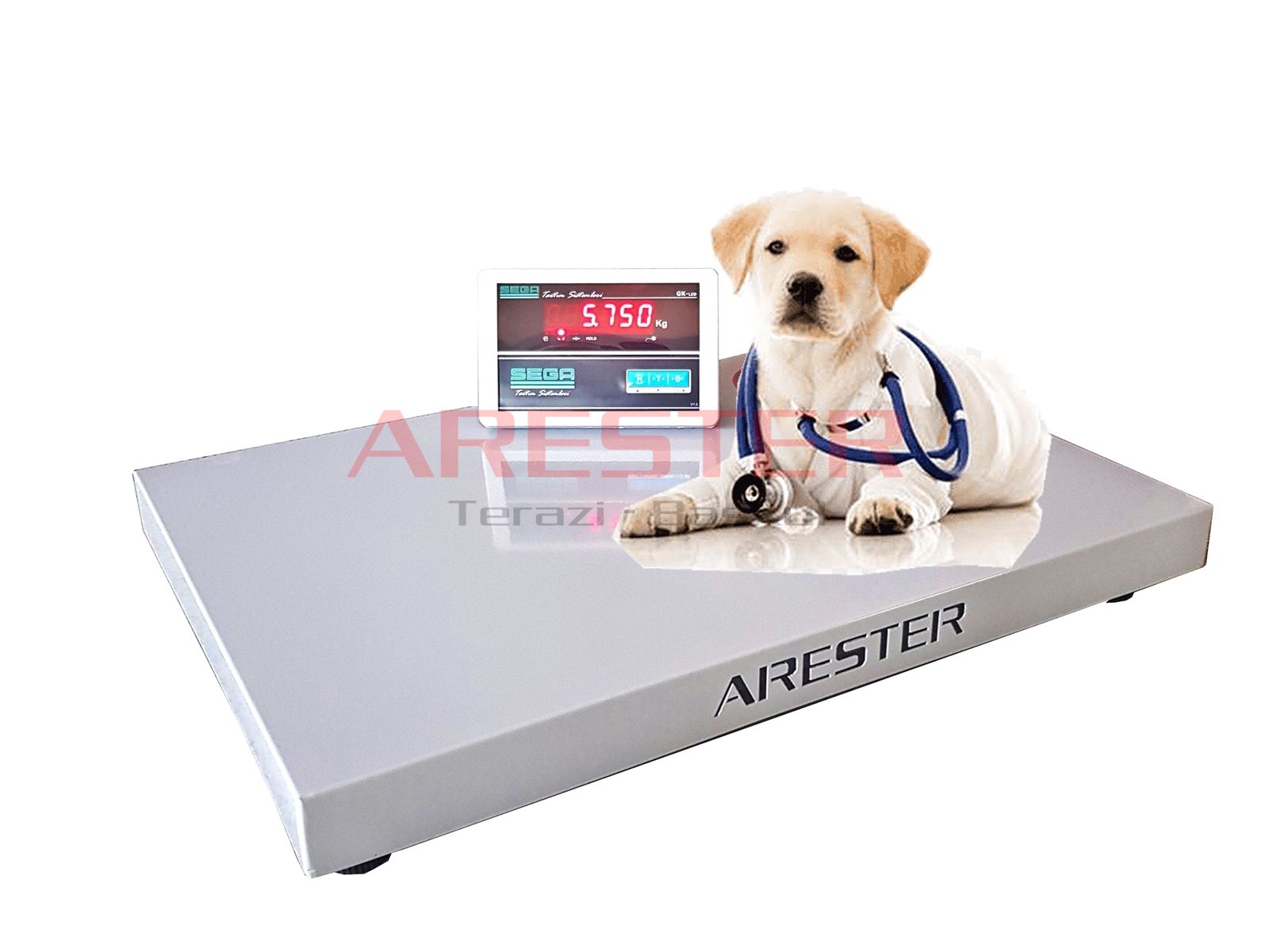 VT Seri 55x80 cm - 300 kg Ekonomik Veteriner Baskül  – Kedi & Köpek Tartısı