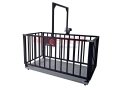 CHB GK-LCD 100x200 2000 Kg Büyük Baş Canlı Hayvan Baskülü