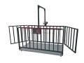 CHB GK-LCD 100x200 2000 Kg Büyük Baş Canlı Hayvan Baskülü