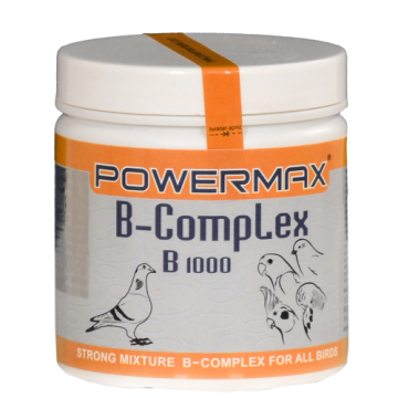 Powermax B Complex 100 gr