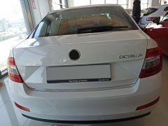 SKODA OCTAVIA 2015-2019 BAGAJ ÇITASI KROM
