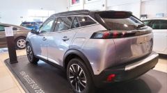 Peugeot 2008 cam çerçevesi kromu tamtur