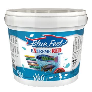 BLUE FEEL Extreme Red Chips 1000 GR