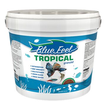 BLUE FEEL Tropical Granulat 500 GR