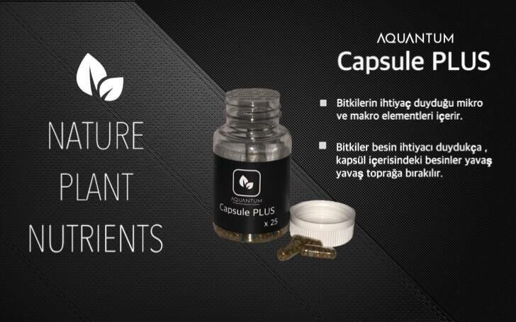 Aquantum Capsule Plus