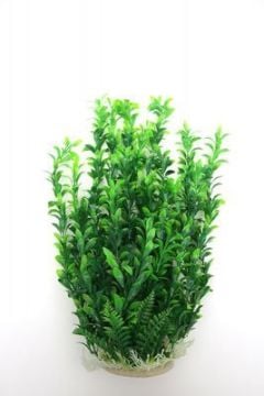 Akvaryum Bitki Dekoru 52 cm