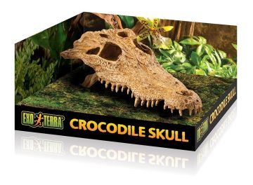 EXO TERRA Timsah Kafa Tası Crocodile Skull PT2856
